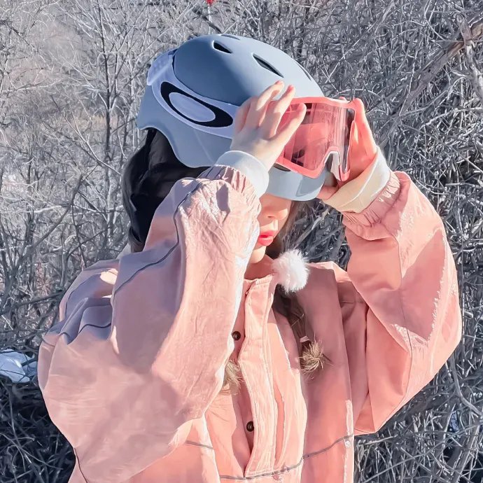 轰炸达尔文：尴尬的真相